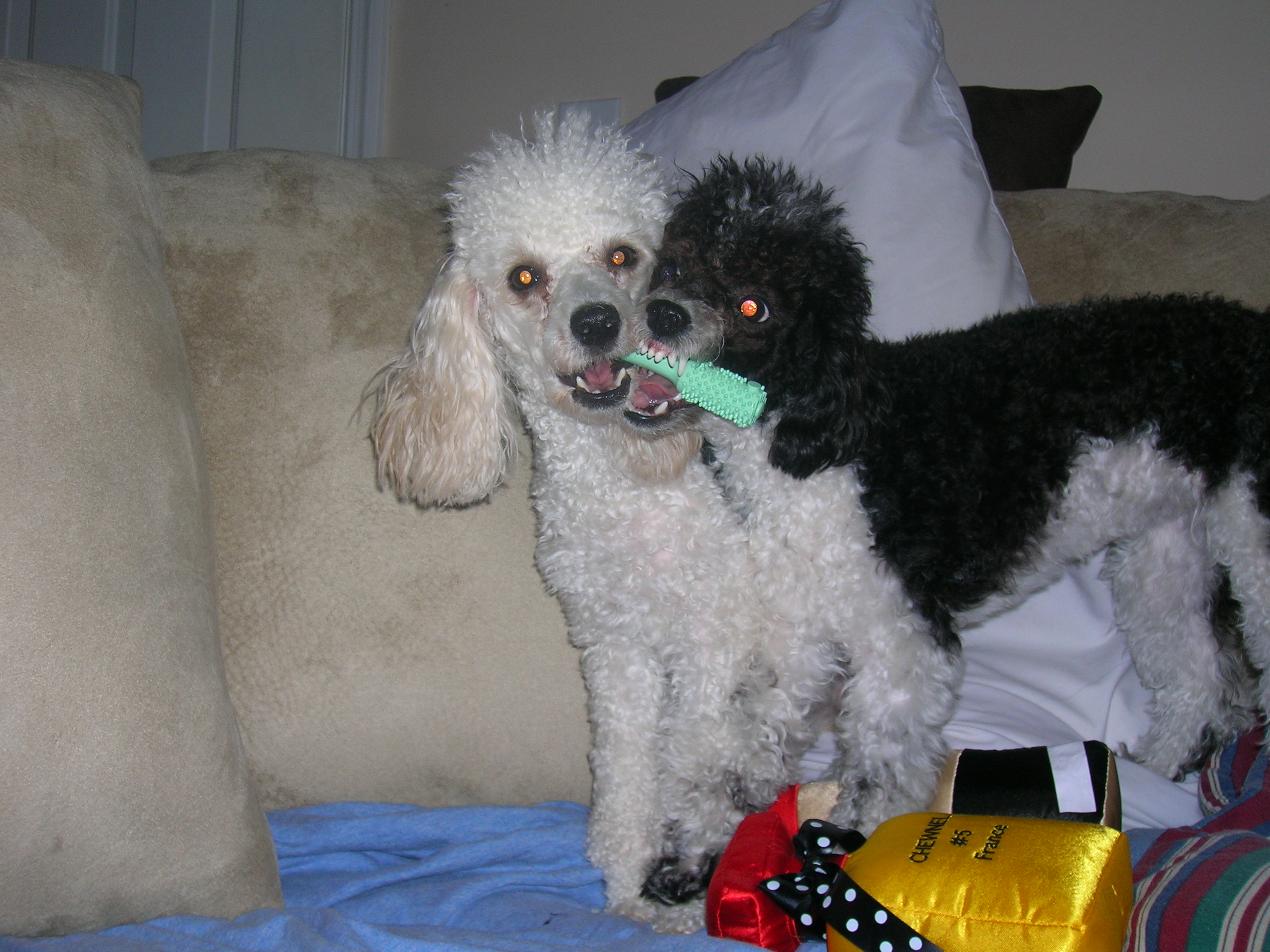 Bridgette & DeLaynee